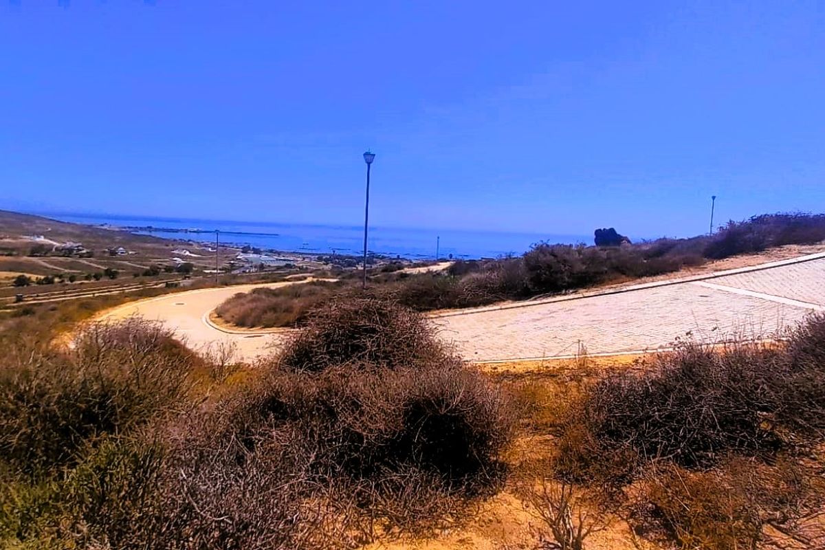 Good vibes happen on the tides - Photo 2