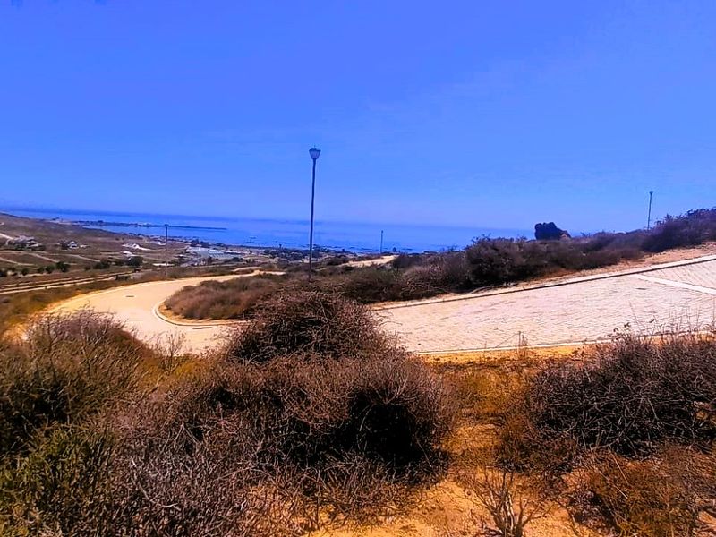 Good vibes happen on the tides - Photo 2