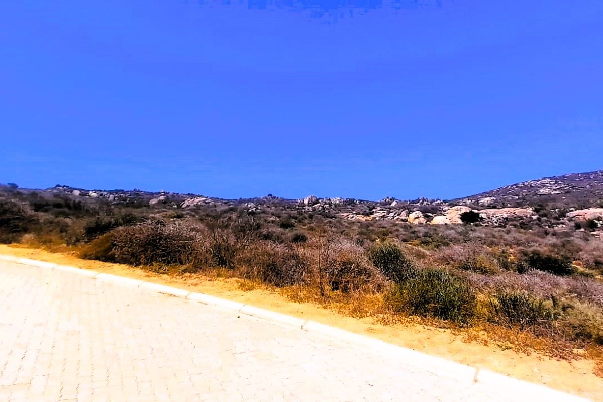 Good vibes happen on the tides - Photo 4