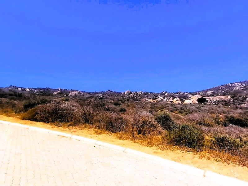 Good vibes happen on the tides - Photo 4