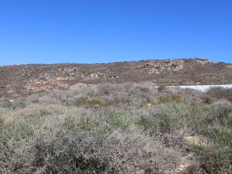 Vacant land for sale in Steenberg Cove, St Helena bay - Photo 5