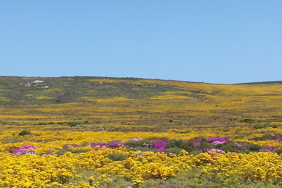 Good vibes happen on the tides - Photo 5