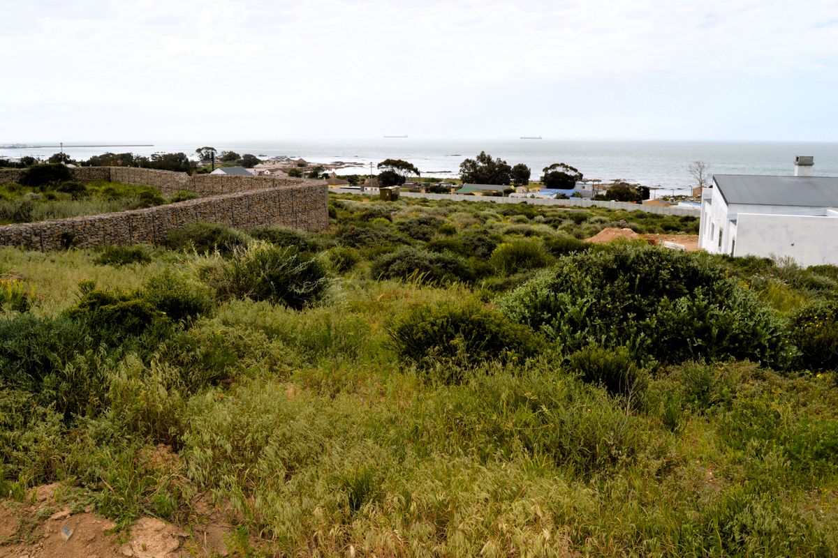 Good vibes happen on the tides - Photo 4