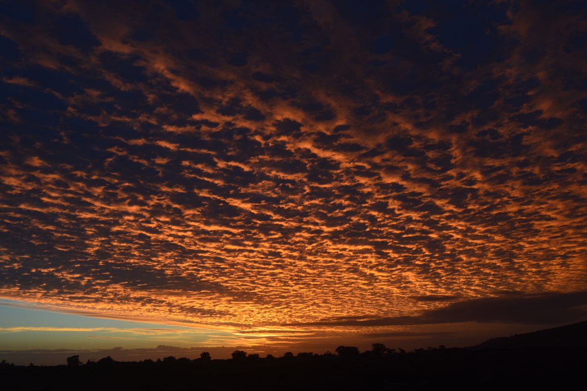 St Helena Bay - Vacant land for sale Kapteinskloof Development - Photo 5