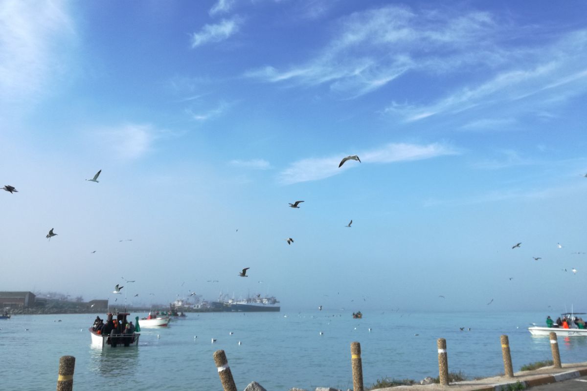 St Helena Bay - Vacant land for sale Kapteinskloof Development - Photo 4