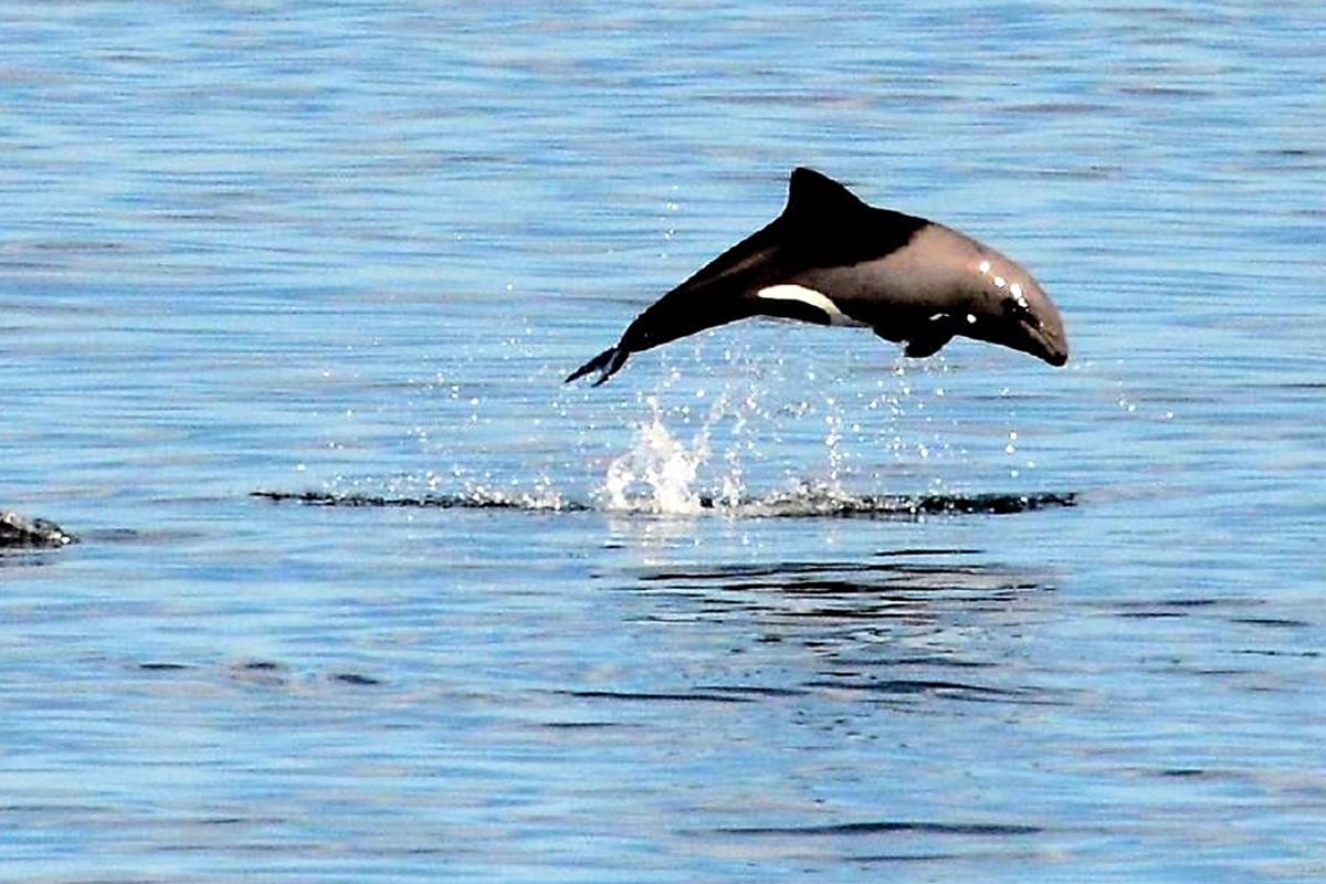 Magical sunset over the ocean - Photo 5