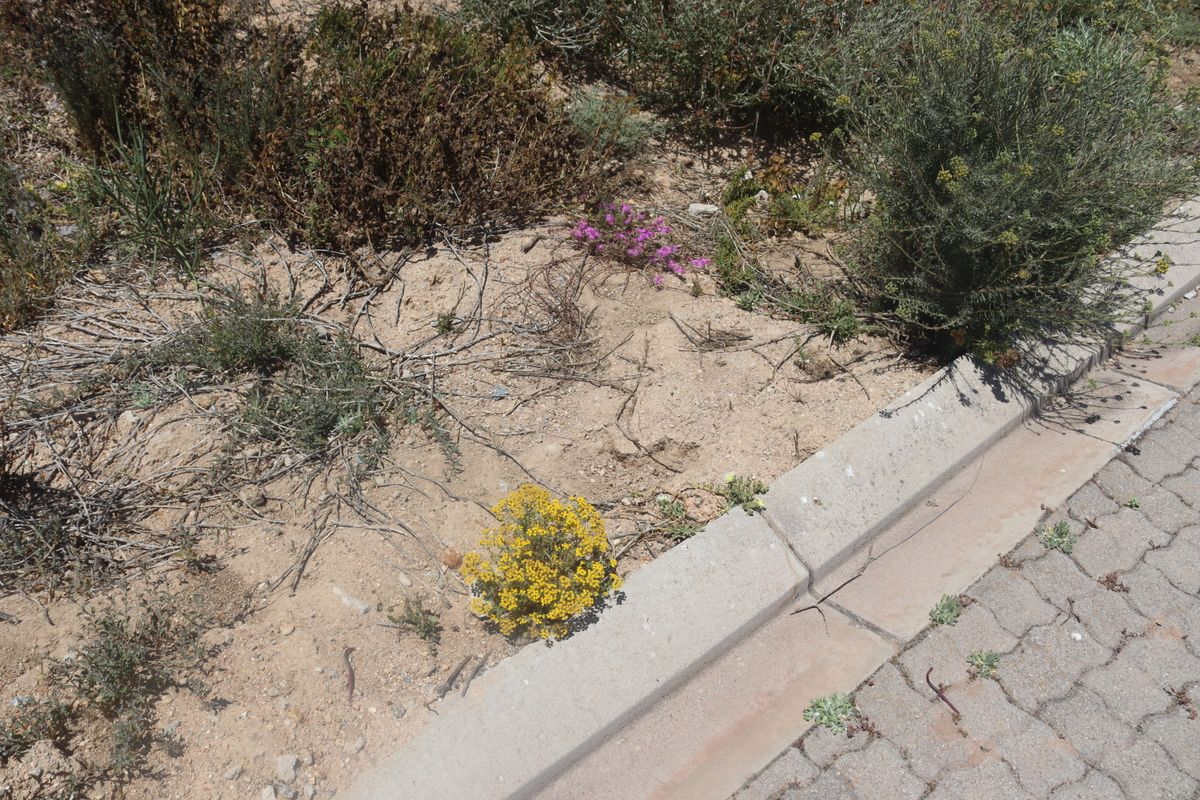 Vacant land for Sale in Kapteinskloof, St Helena Bay - Photo 5