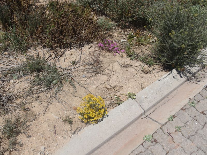 Vacant land for Sale in Kapteinskloof, St Helena Bay - Photo 5