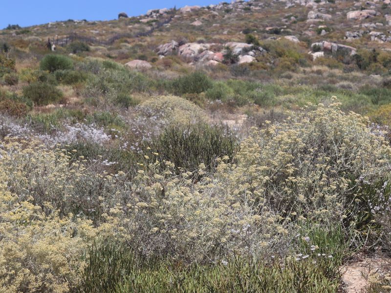 Vacant land for Sale in Kapteins kloof, St Helena Bay - Photo 5