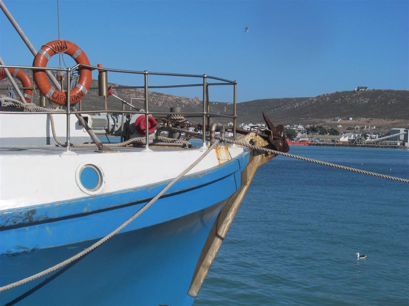 A view of a boat docked in a harbor with coastal landscape in the background.
