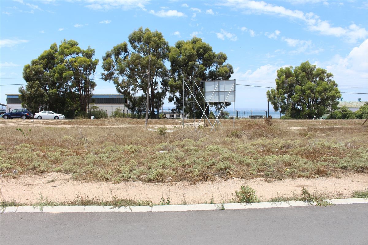 A vacant residential plot featuring mature trees, a large billboard structure, and direct access to a paved road.
