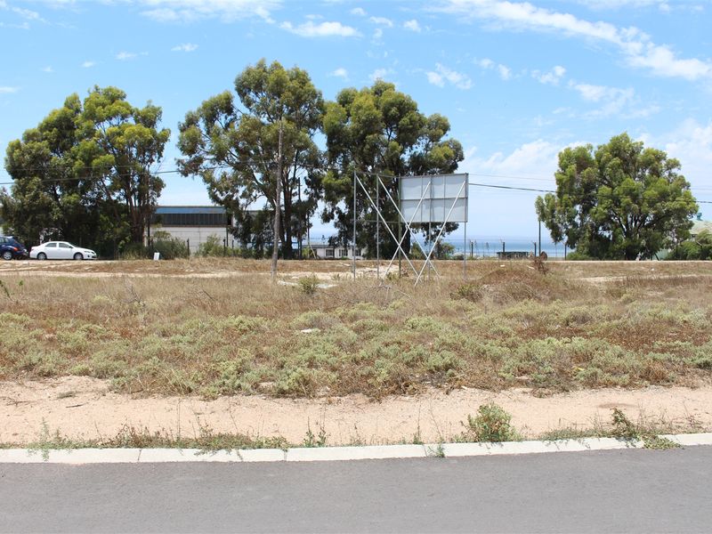 A vacant residential plot featuring mature trees, a large billboard structure, and direct access to a paved road.