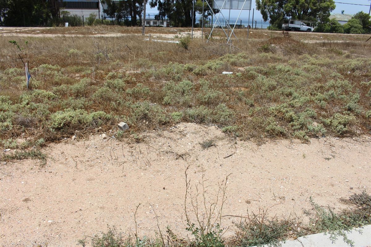 A view of a vacant residential plot featuring sandy soil and native vegetation, offering a blank canvas for future development.