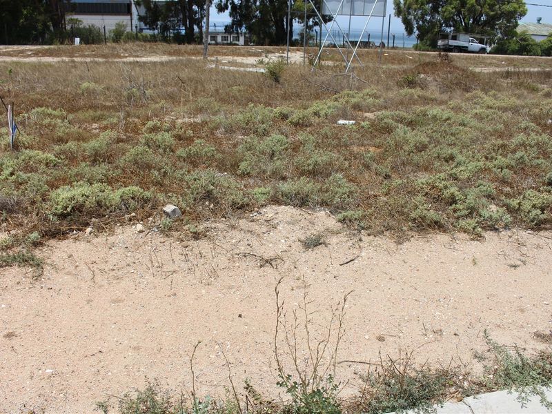 A view of a vacant residential plot featuring sandy soil and native vegetation, offering a blank canvas for future development.