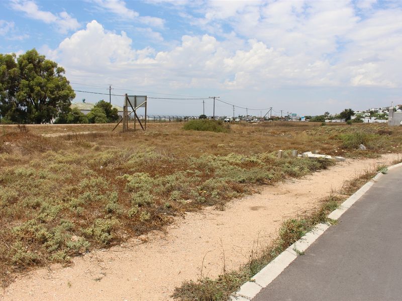 A vacant residential plot featuring natural vegetation, adjacent to a paved road with established utility infrastructure.