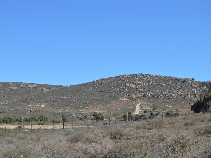 Priced to go. - Photo 10