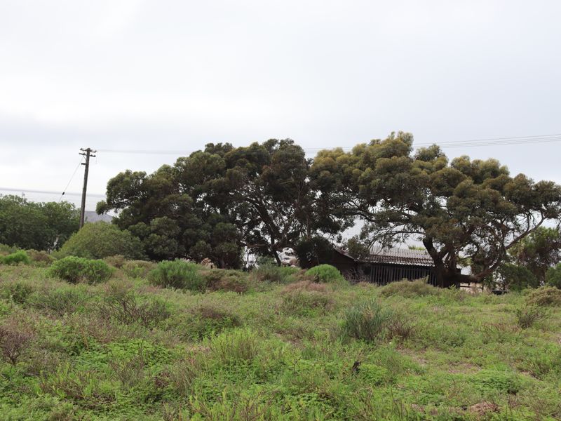 Vacant land for  Sale in St Helena Views, St Helena bay - Photo 4