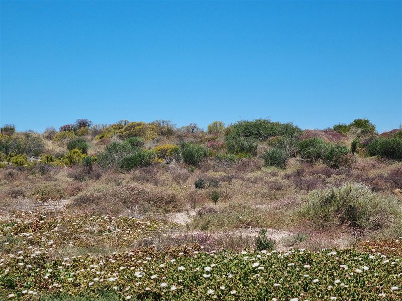 Plot for sale - Photo 6