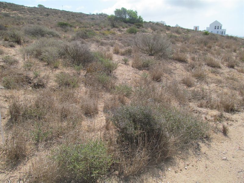 Stunning flat stand for sale in quiet area in St Helena Bay - Photo 4