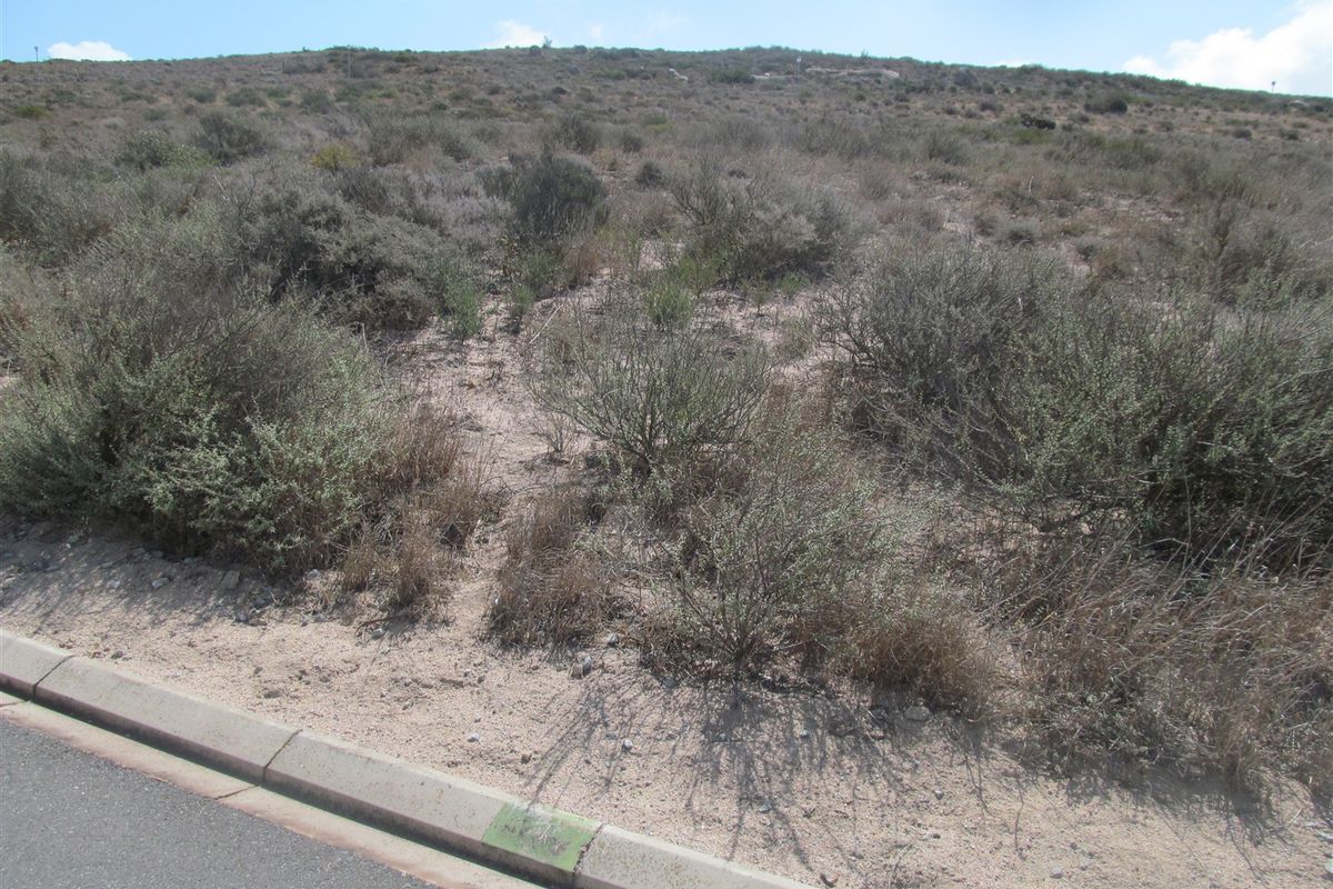 Stunning stand for sale in quiet area - Photo 2