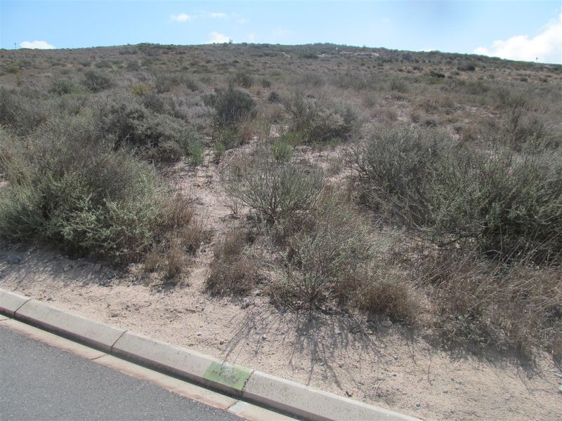 Stunning stand for sale in quiet area - Photo 2