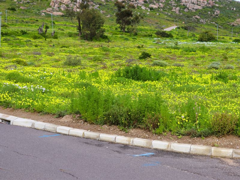 Vacant land for Sale in Kapteins Kloof - Photo 6