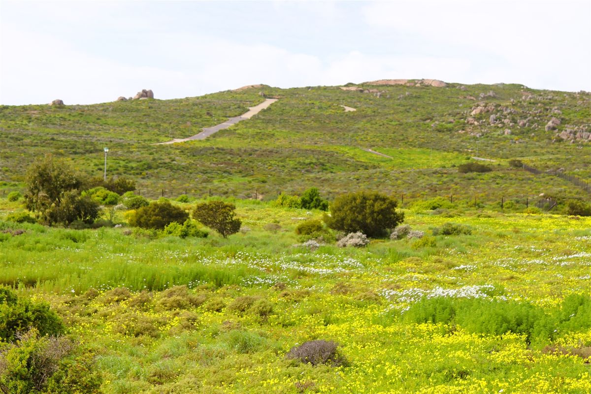 Vacant land for Sale in Kapteins Kloof - Photo 4