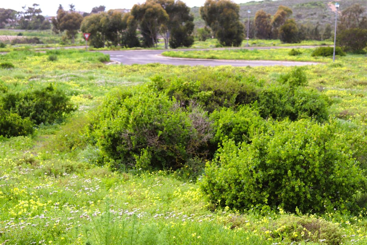 Vacant land for Sale in Kapteins Kloof - Photo 3