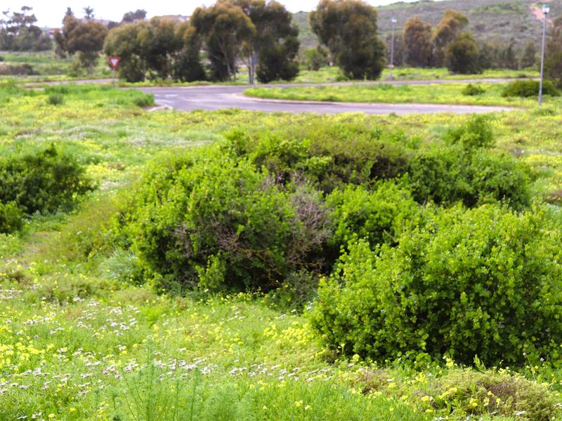 Vacant land for Sale in Kapteins Kloof - Photo 3