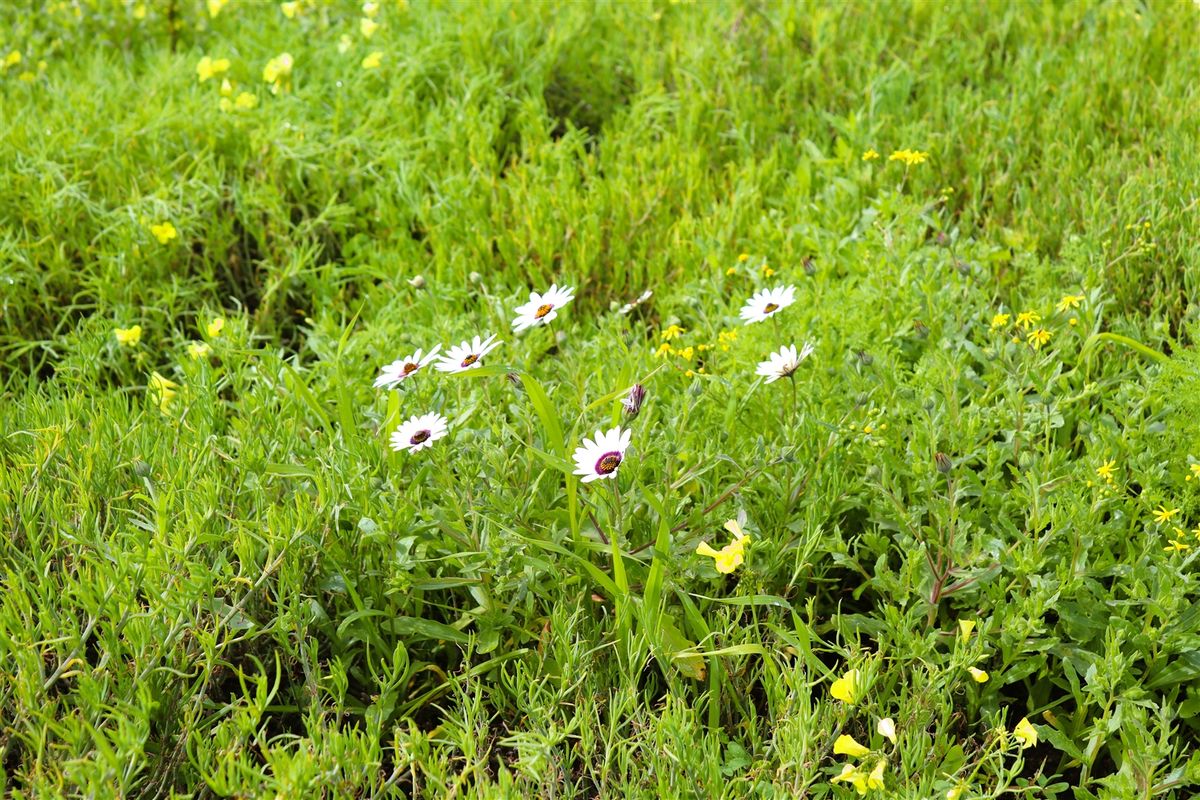 Vacant land for Sale in Kapteins Kloof - Photo 5