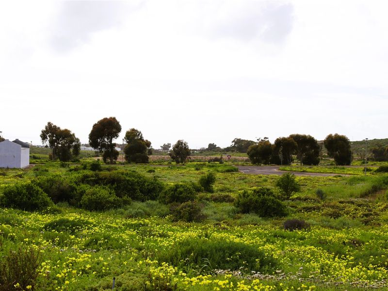 Vacant land for Sale in Kapteins Kloof - Photo 9