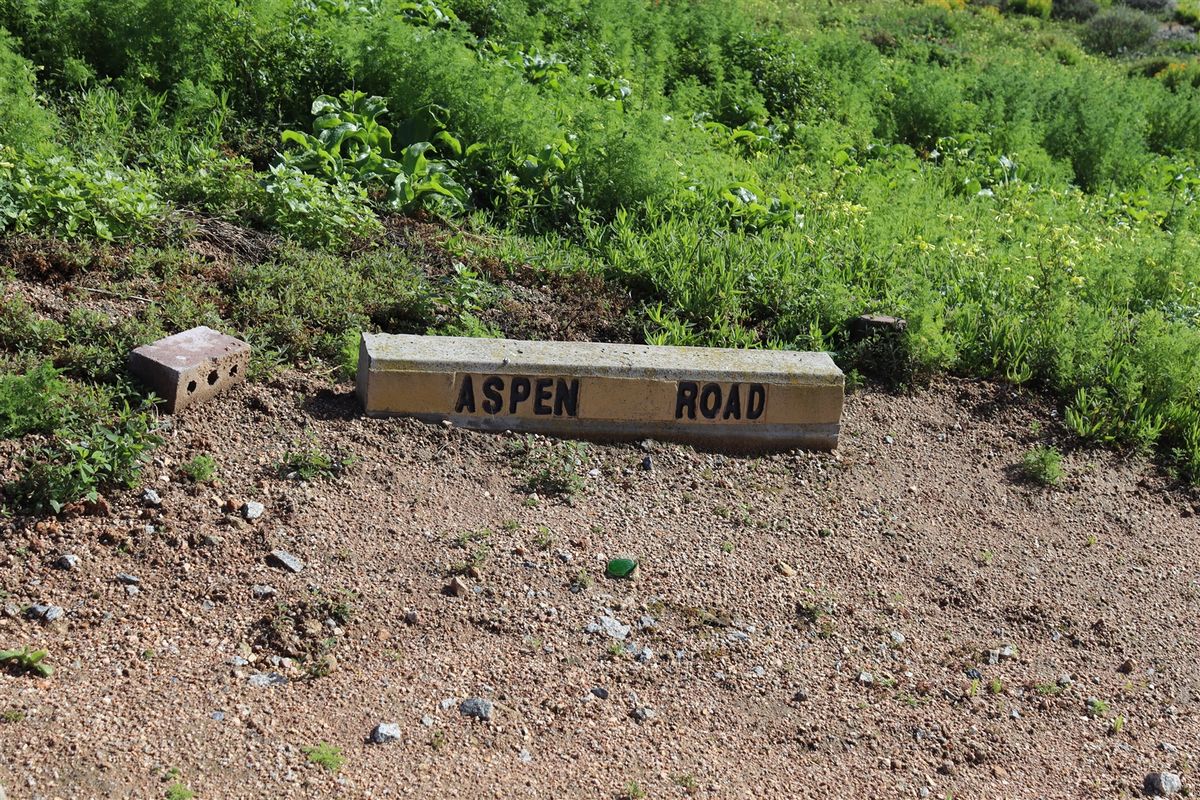 Unobstructed Ocean and Mountain Views - Photo 2