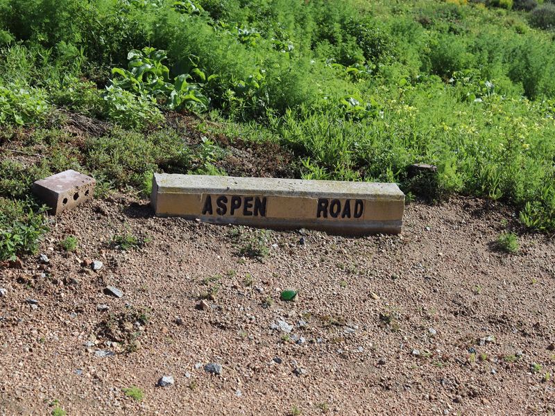 Unobstructed Ocean and Mountain Views - Photo 2