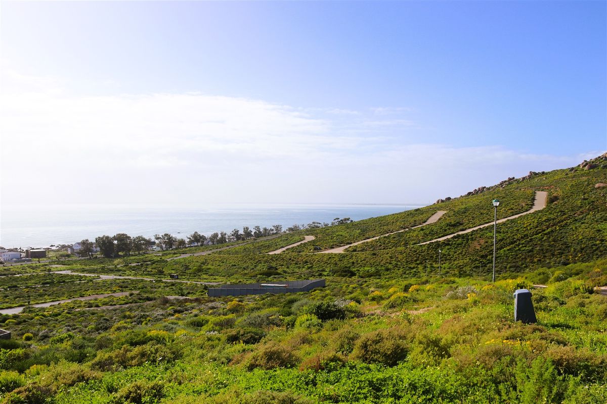 Unobstructed Ocean and Mountain Views - Photo 4