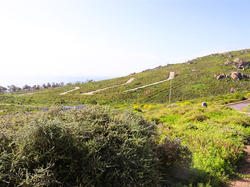 Unobstructed Ocean and Mountain Views - Photo 9