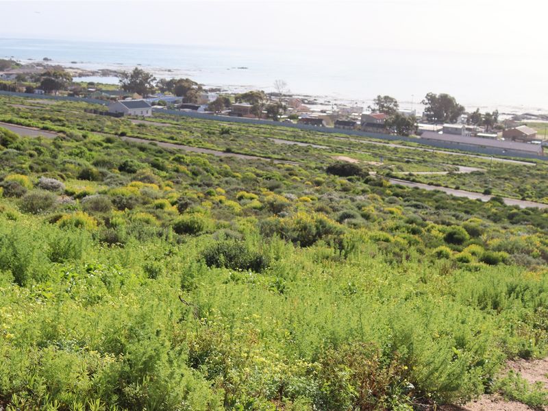 Unobstructed Ocean and Mountain Views - Photo 7