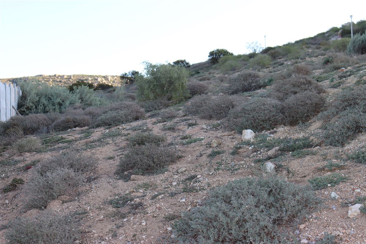 Elevated Plot with Magnificent Views! - Photo 5