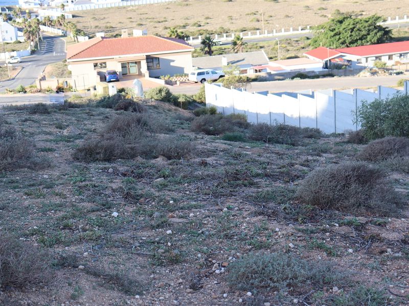 An elevated view of a vacant residential plot featuring natural vegetation and a precast concrete boundary wall in a developed neighborhood.