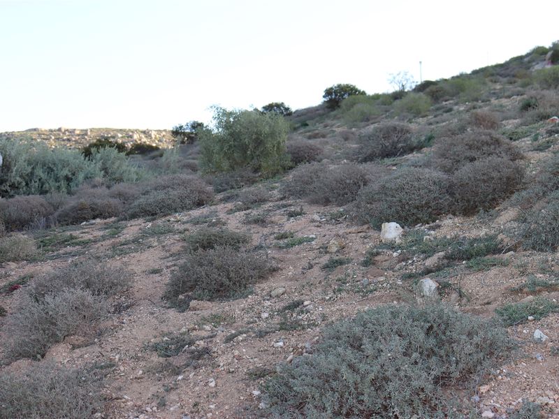 A view of the sloped, undeveloped residential land featuring natural terrain and native vegetation.