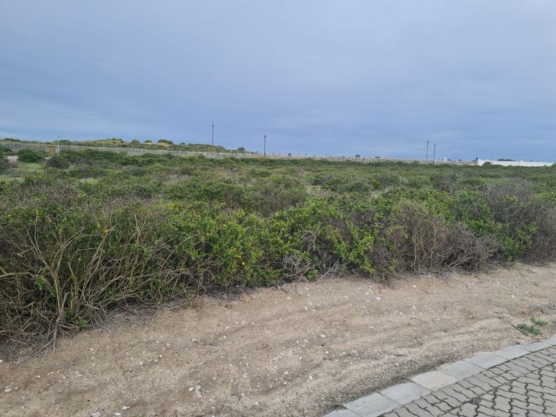 Perfect Location to Build Your Dream Home!! - Photo 10