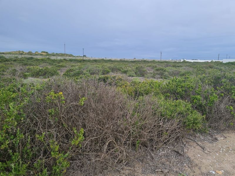 Perfect Location to Build Your Dream Home!! - Photo 9