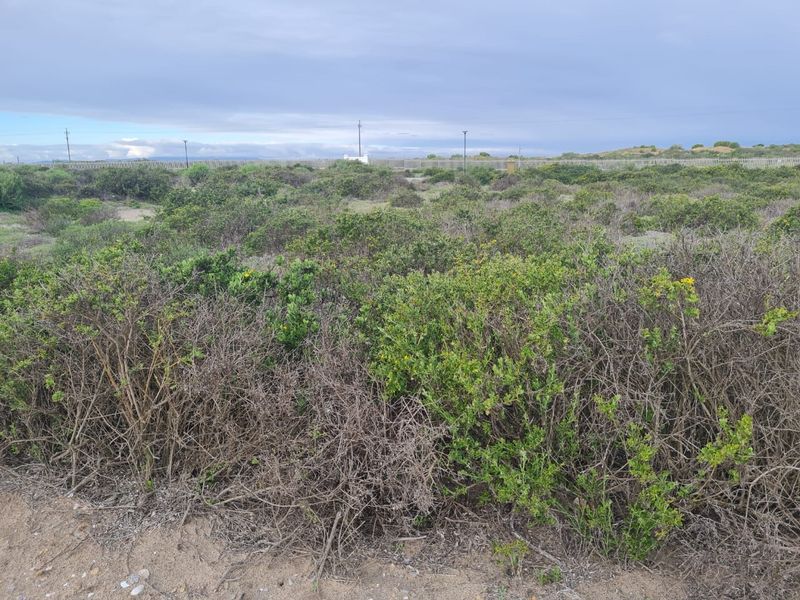 Perfect Location to Build Your Dream Home!! - Photo 8