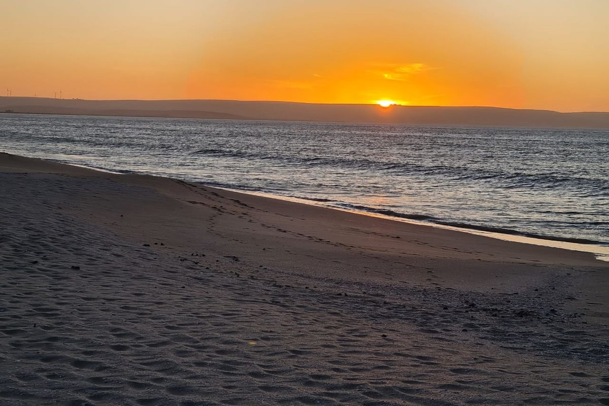 Perfect Location to Build Your Dream Home!! - Photo 5