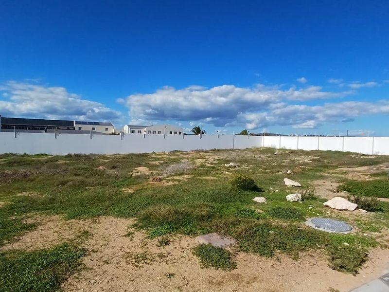 A vacant residential plot featuring a perimeter wall and natural ground cover, ready for development.