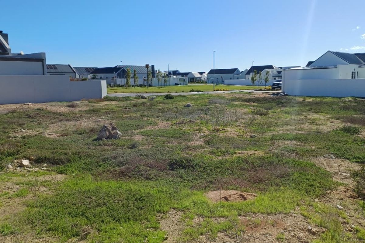 A vacant residential plot situated in a developed estate, featuring natural ground cover and surrounding boundary walls.