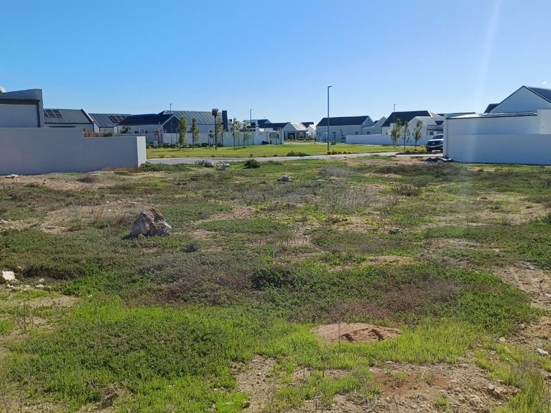 A vacant residential plot situated in a developed estate, featuring natural ground cover and surrounding boundary walls.