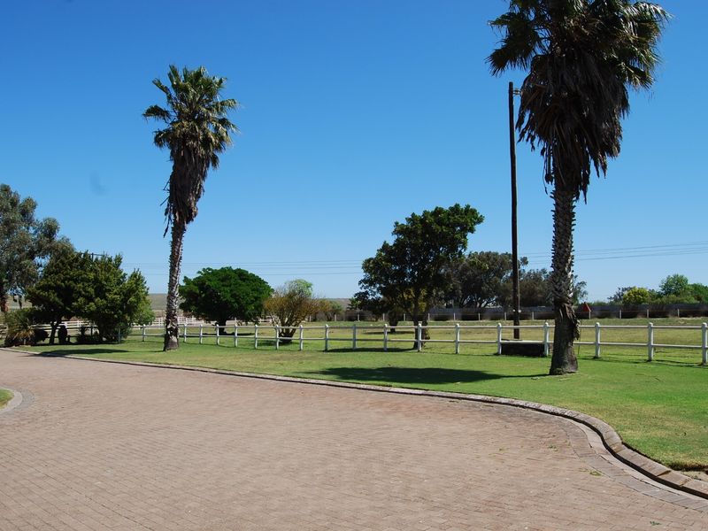 A well-maintained garden area featuring a paved driveway, manicured lawn, and white post and rail fencing, framed by mature palm trees.