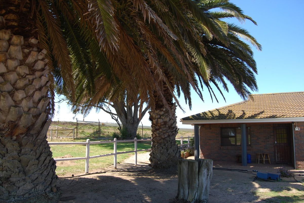 Rear view of a brick-built small holding dwelling featuring a tiled roof, covered patio area, and established palm trees in the garden.