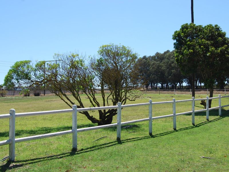 A view of the open garden area featuring established trees and white post and rail perimeter fencing on the small holding.