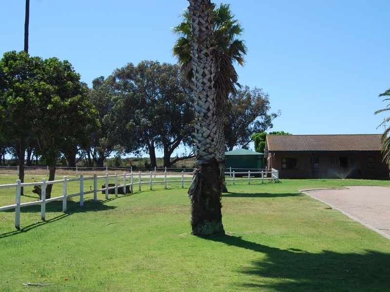 Spacious garden area featuring a paved driveway, white post and rail fencing, and a view of the brick-built property with a tiled roof.